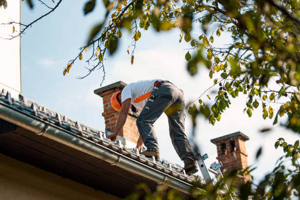 Best Commercial Roofing Services  in Robesonia, PA