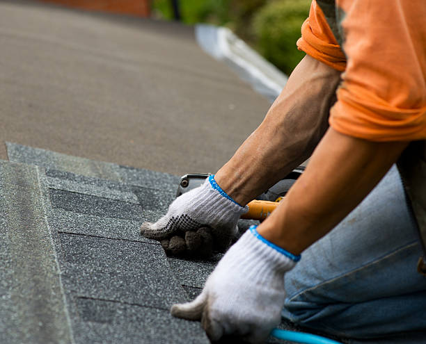Best Flat Roof Repair Services  in Robesonia, PA